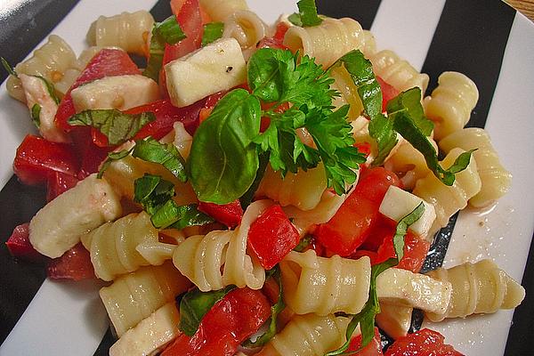 Tomato – Mozzarella – Noodle – Salad