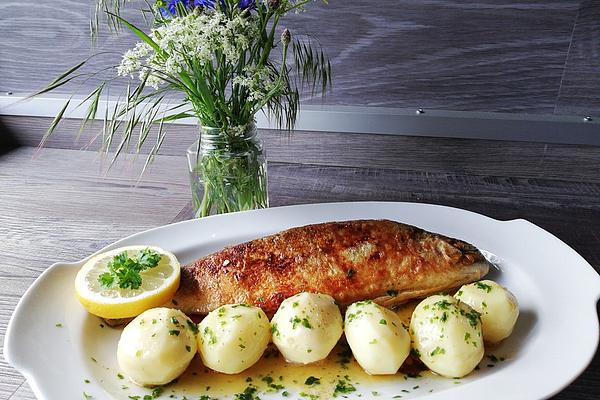 Trout Miller`s Wife with Persily Potatoes and Lettuce