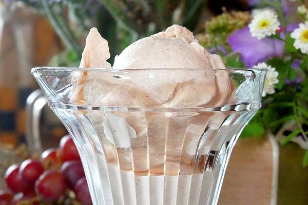 Vegan Cinnamon Ice Cream