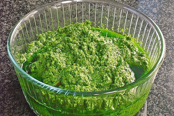 Walnut – Wild Garlic Pesto