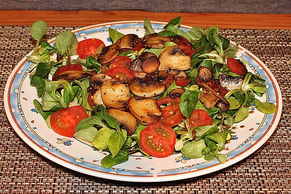 Warm Tomato – Mushroom – Lamb`s Lettuce with Balsamic Vinegar