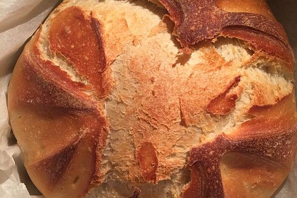 Wheat Crust – Delicious, Crispy White Bread