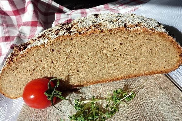 Whole Grain Bread with Sourdough