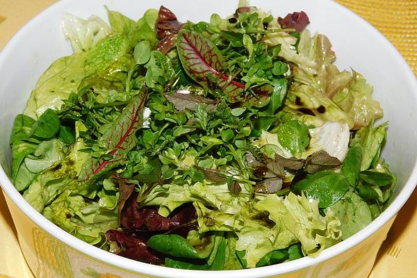 `Wild Herb Salad` La Xainti