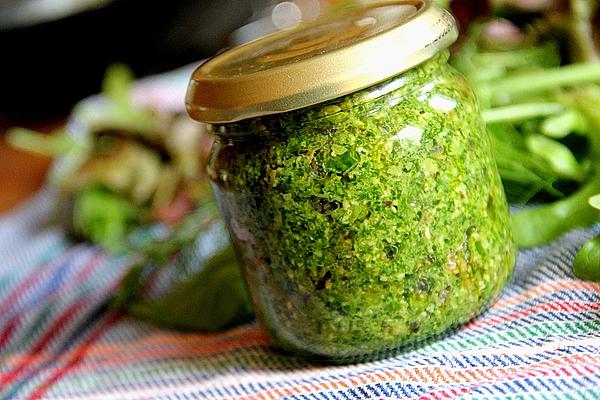 Wild Herbs – Pesto