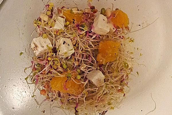 Alfalfa Sprout Salad with Feta and Orange