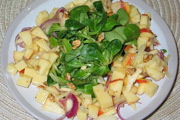 Apple – Onion – Cheese – Salad