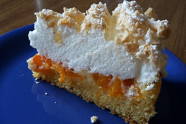 Apricot Cake with Coconut Meringue Topping
