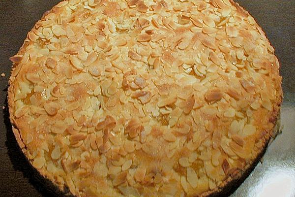 Apricot Cake with Shortcrust Pastry