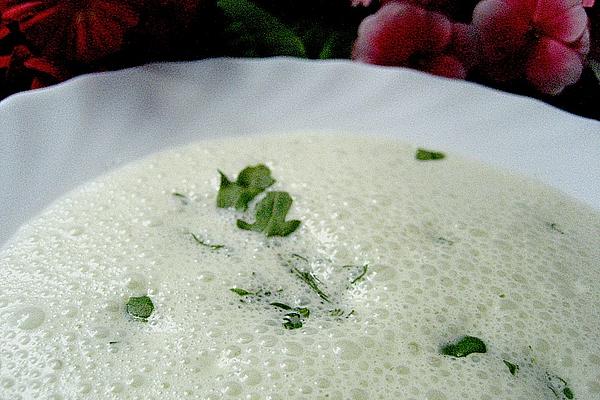 Arugula – Cream Soup