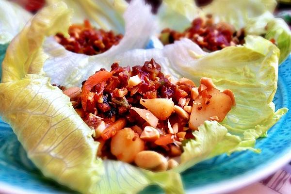 Asian Hoisin Salad Wraps