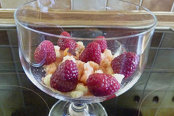 Berries – Dessert with Vanilla – Yogurt