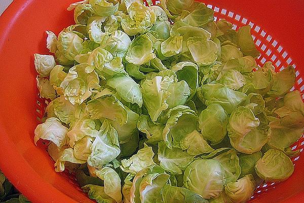 Brussels Sprouts Leaves in Cream Sauce