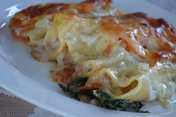 Cannelloni Bolognese on Spinach
