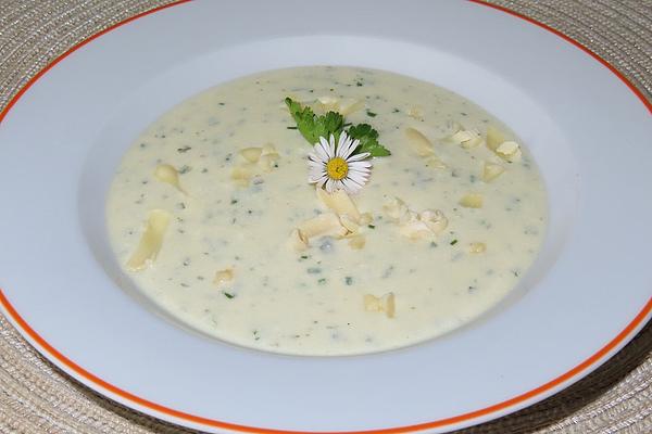 Cheese Soup with Herbs