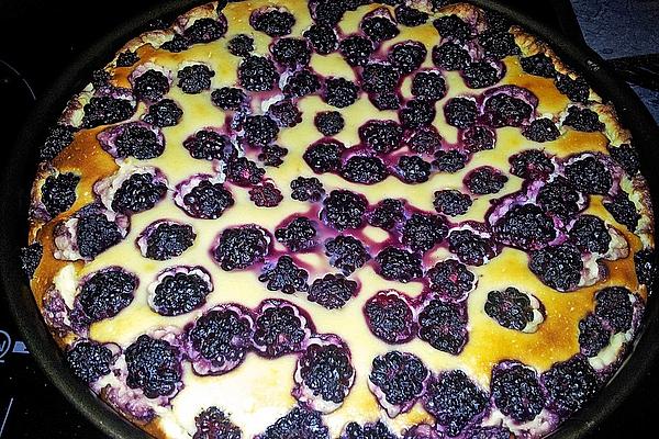 Cheesecake with Blackberries
