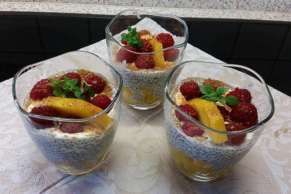 Chia Mango Berry Dessert with Yogurt