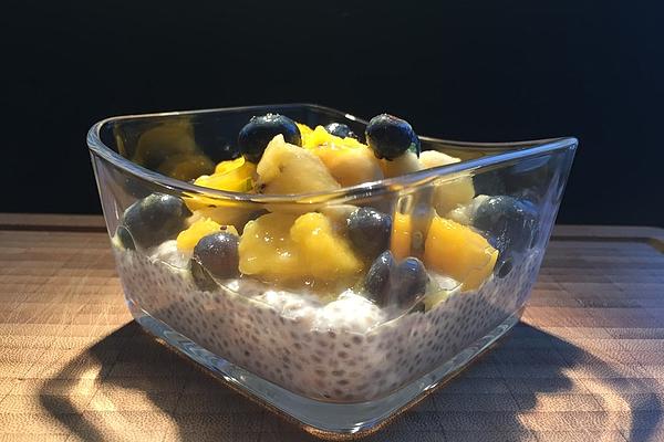 Chia Pudding with Mango and Coconut Milk