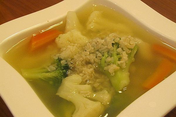 Chicken Soup with Vegetables and Rice