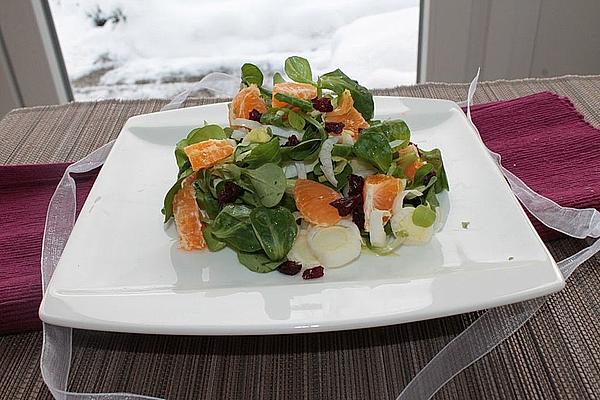 Chicory and Lamb`s Lettuce with Cranberries and Mandarins