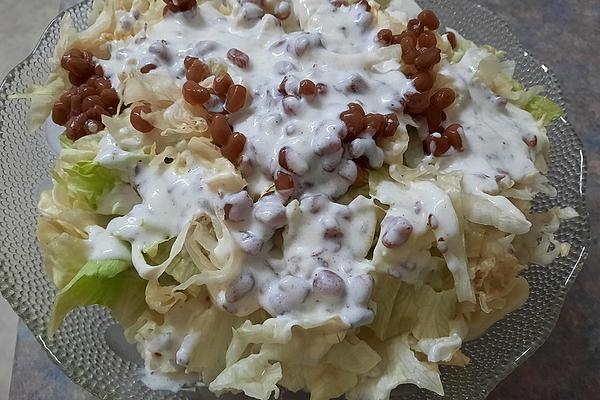 Chinese Cabbage and Pomegranate Salad with Yogurt Flaxseed Dressing