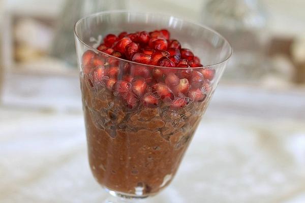 Chocolate Porridge with Cranberries