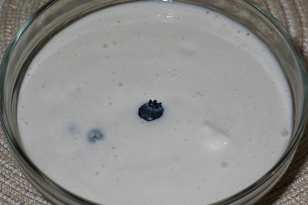 Coconut Milk Rice with Blueberries