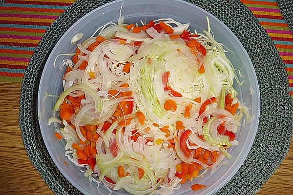 Colorful Cabbage Salad with Apple