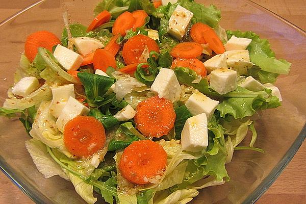 Colorful Salad with Mustard Dressing and Mozzarella