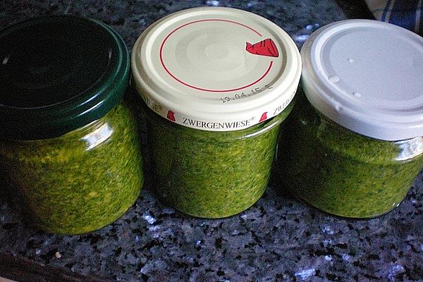 Coriander and Mint Pesto with Garlic and Almonds