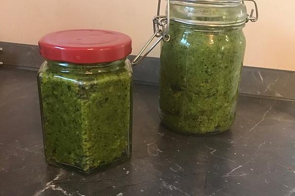 Coriander Cashew Pesto