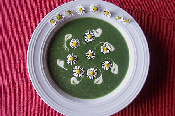 Cream Of Nettle and Groundgrass Soup