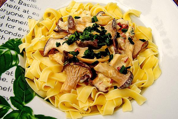 Cream Sauce with King Oyster Mushrooms