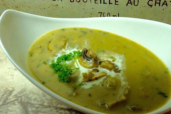 Cream Soup Made from Brown Mushrooms