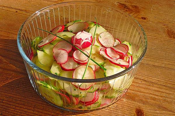 Cucumber Salad with Radishes