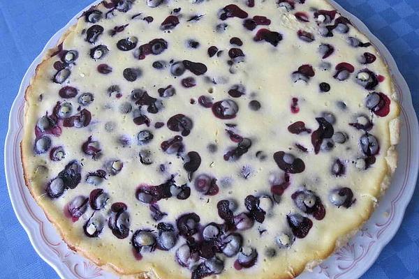 Curd Cheese – Blueberry Tart