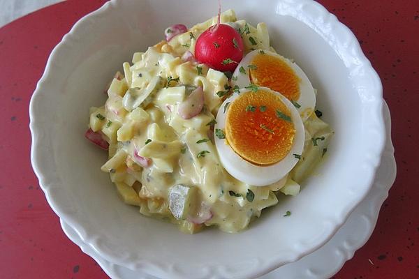 Egg Salad with Radishes