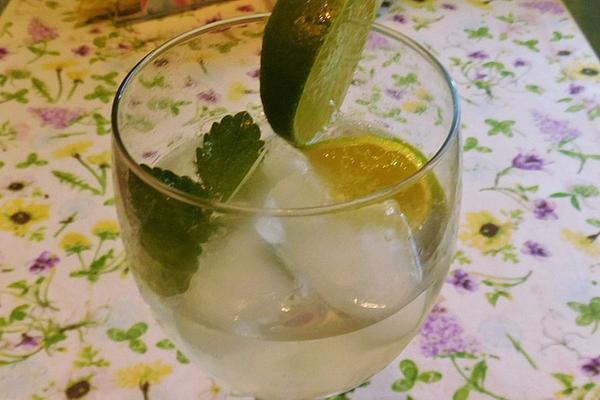 Elderberry – Lime Cocktail