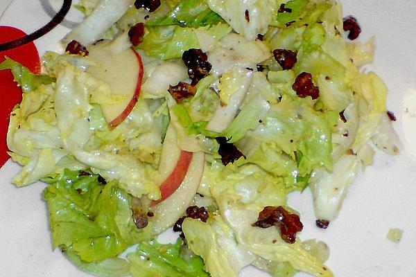 Endive – Chicory – Salad with Apple and Nuts