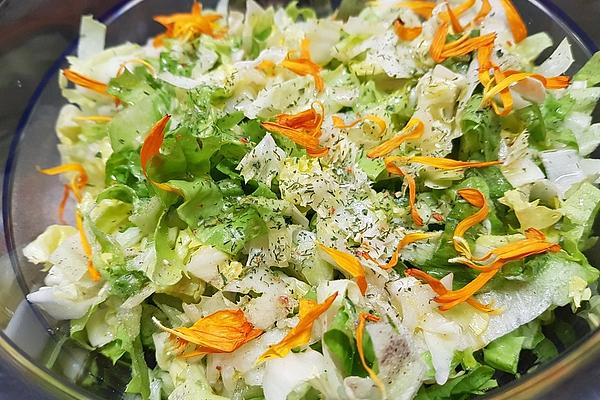 Endive Salad Without Onions