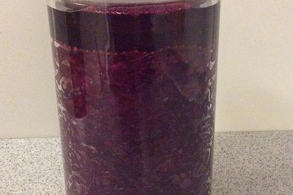 Fermented Apple and Red Cabbage