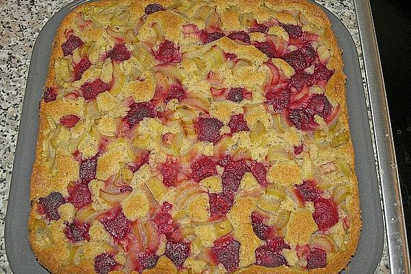 Fine Rhubarb and Raspberry Cake