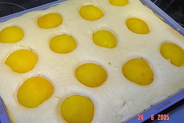 Fried Egg – Lemon Cake