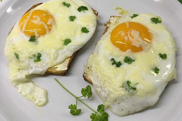 Fried Eggs Green – Yellow