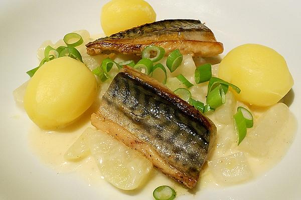 Fried Mackerel Fillets, Creamed Cabbage and Potatoes