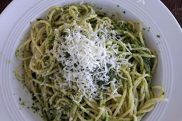 Garlic Mustard, Wild Garlic and Basil Pesto