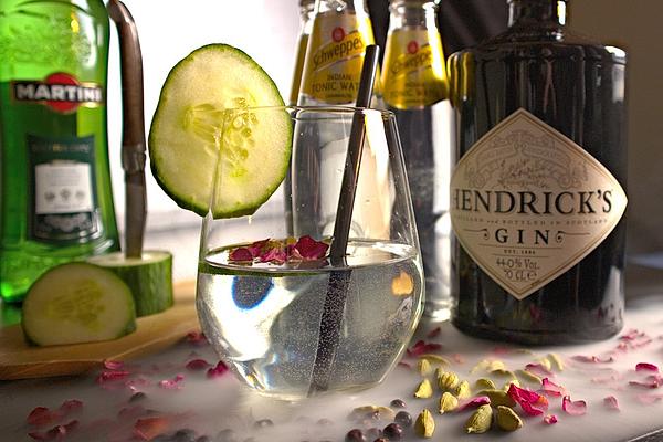 Gin and Tonic Vermouth