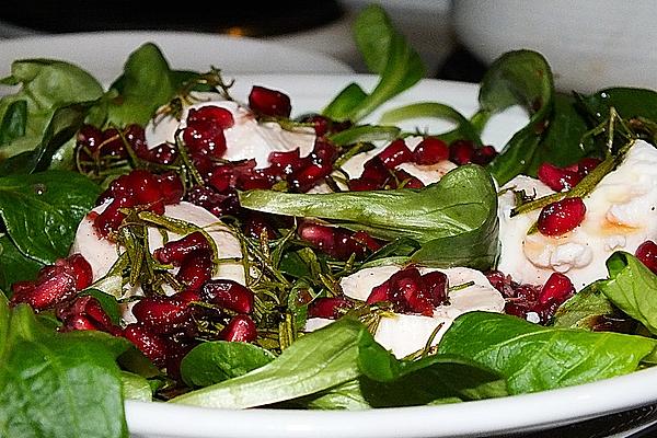 Goat Cheese Thaler on Lettuce with Pomegranate Dressing