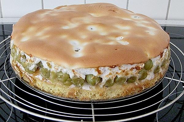 Gooseberry Cake with Cover According To WW – Art