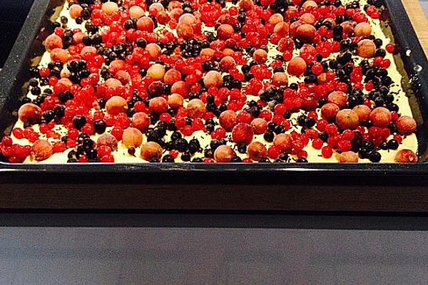 Gooseberry – Currant – Sheet Cake